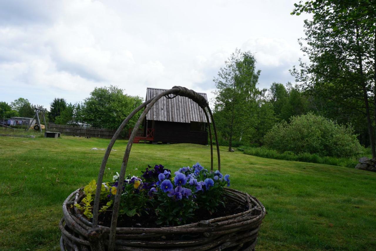 Pie Andra Pitraga Hotel Pitrags Buitenkant foto